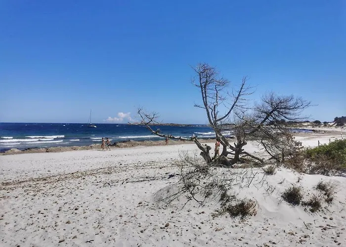 Apartament Comino Due Passi Dalla Spiaggia Siniscola
